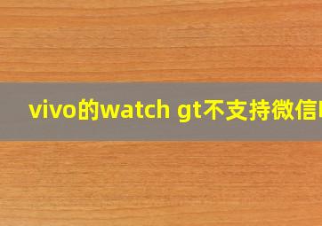 vivo的watch gt不支持微信吗